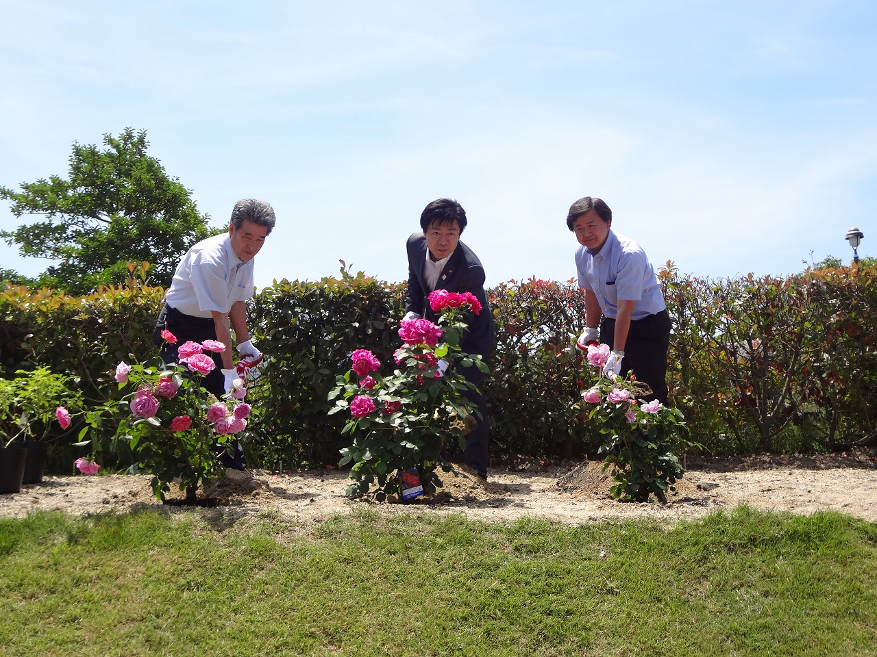 植樹式